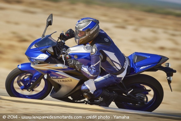 Sportive Yamaha YZF-R3