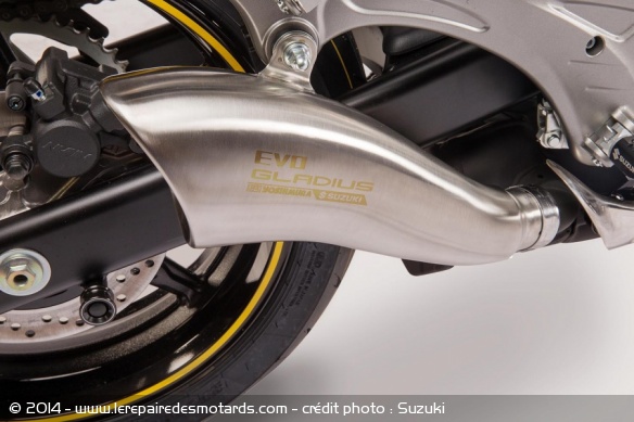 Suzuki Gladius Boss