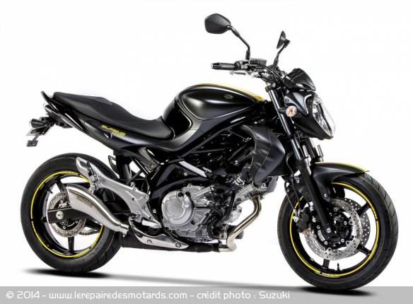 Suzuki Gladius Boss