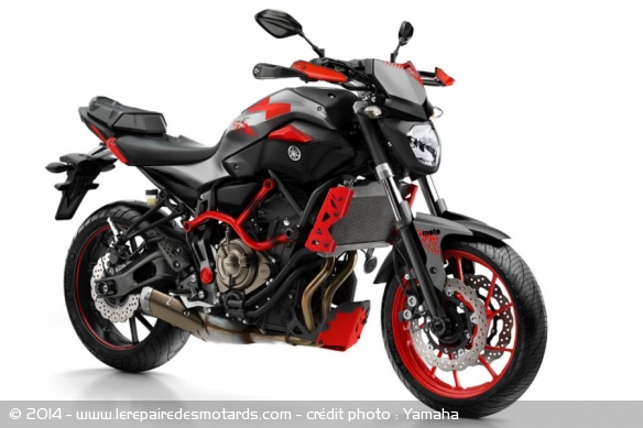 Yamaha MT-07 Moto Cage