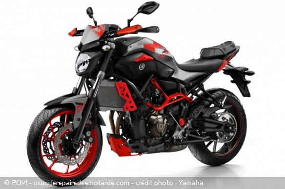 Yamaha MT-07 Moto Cage