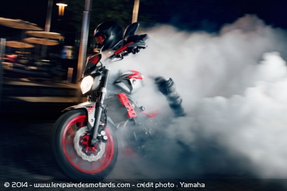 Yamaha MT-07 Moto Cage