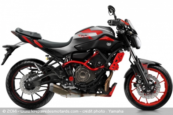 Yamaha MT-07 Moto Cage