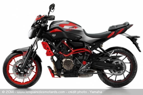 Yamaha MT-07 Moto Cage