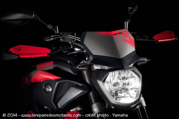 Yamaha MT-07 Moto Cage