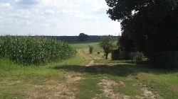 Chemin de randonnée de Montpeyroux 