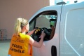 Emploi L ACO recrute 800 personnes