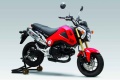 Silencieux Yoshimura R 77 Honda MSX125