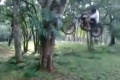 Plutôt moto balançoire?
