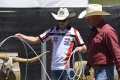 MotoGP Bradl joue cowboy