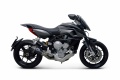 Silencieux Termignoni MV Agusta Rivale 800
