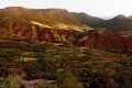 Africa Eco Race   fin recos Maroc