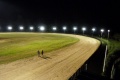 Les Franais championnat Monde Long Track