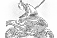 Ronin Ronax 500