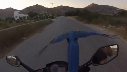 voler avec un perroquet... en scooter
