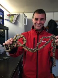 WSBK : Travail à la chaîne pour Stéphane Egea qui l'a cassée en essai libre