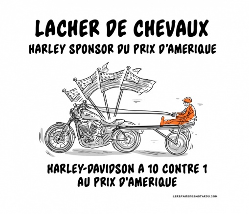 Lâcher de chevaux