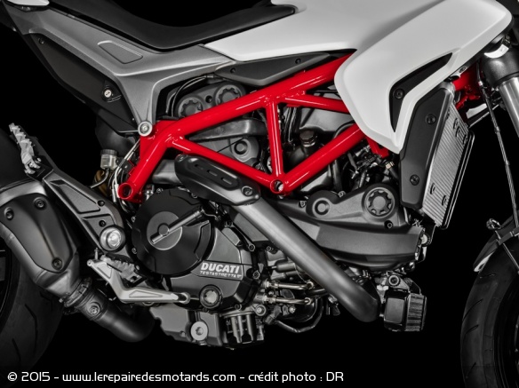 Ducati Hypermotard 939 moteur et cadre