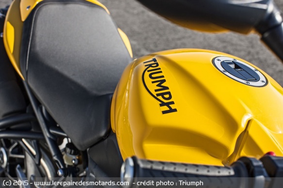 Réservoir Triumph Speed 94 et Speed 94R