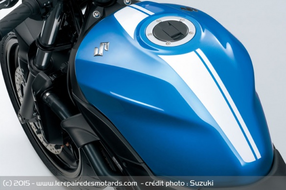 Roadster Suzuki SV 650 Bleu Metallic Triton Roadster Suzuki SV 650 Bleu Metallic Triton