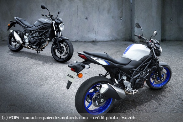 Le roadster naked est décliné en quatre coloris Le roadster naked est décliné en quatre coloris