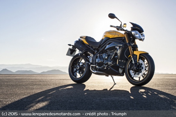 Triumph Speed 94 et Speed 94R en jaune (non disponible en France)
