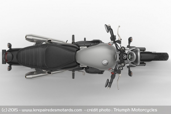La Street Twin conserve les formes de la Bonneville
