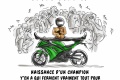Radar ralit   Naissance Champion