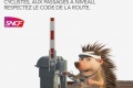 actualites