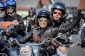 Record affluence Harley Davidson