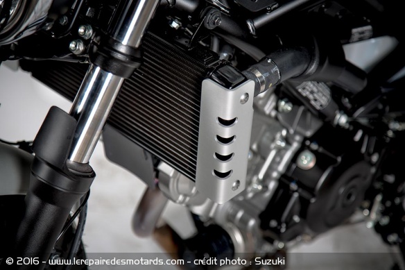 Carter Suzuki Scrambler