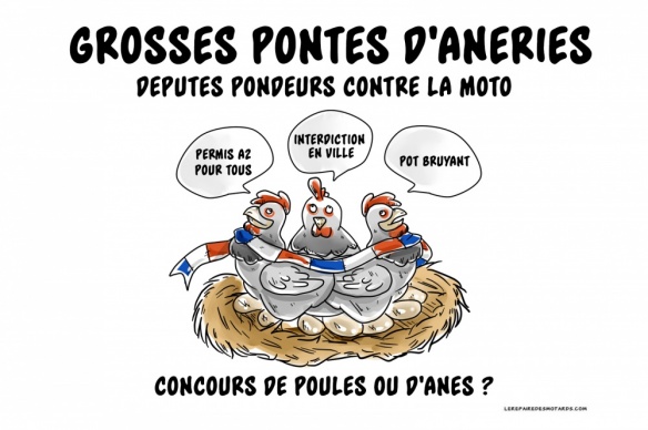 Grosses pontes d'âneries