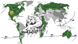 Grizzly en Argentine lors de son record du monde 