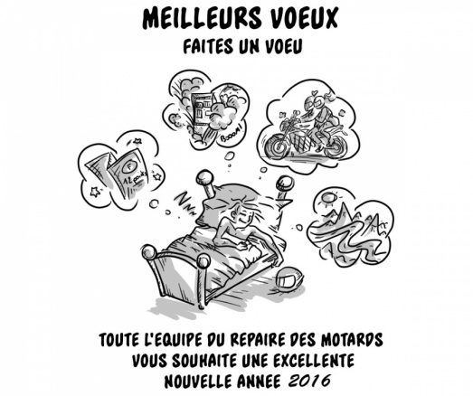 Meilleurs voeux et bonne année 2016