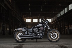 Custom Harley-Davidson Low Rider S