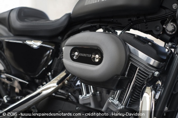 Le V-Twin de 1200 cm3 délivre 97 Nm de couple