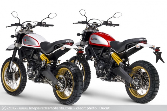 Ducati Scrambler Desert Sled