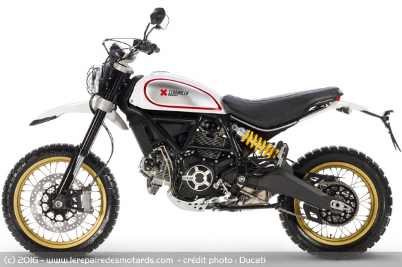 Ducati Scrambler Desert Sled blanc, profil gauche