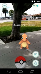 La Prévention Routière chasse les Pokémon