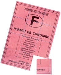 Les stages de récupération de points en question
