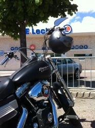 Sur la route de l'Euro Festival
