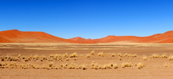 Une