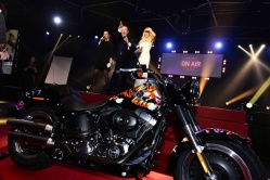 Une Harley unique vendue 145.000 euros