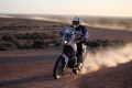 Africa Eco Race 1ère victoire Newland