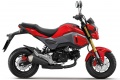Honda rhabille MSX125 2016