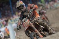 MX2   Herlings impose  domicile