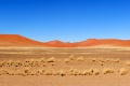 diaporama