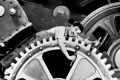 chroniques