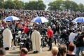 Madone Motards