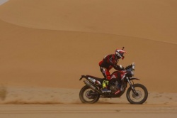 Africa Eco Race: Paulo Ceci s'impose après la pause